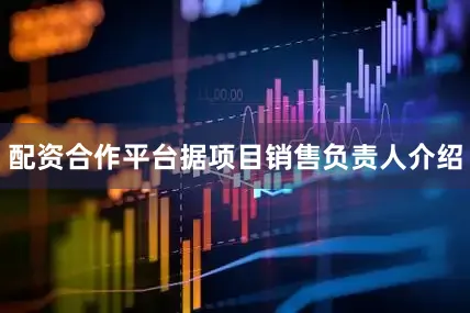 配资合作平台据项目销售负责人介绍