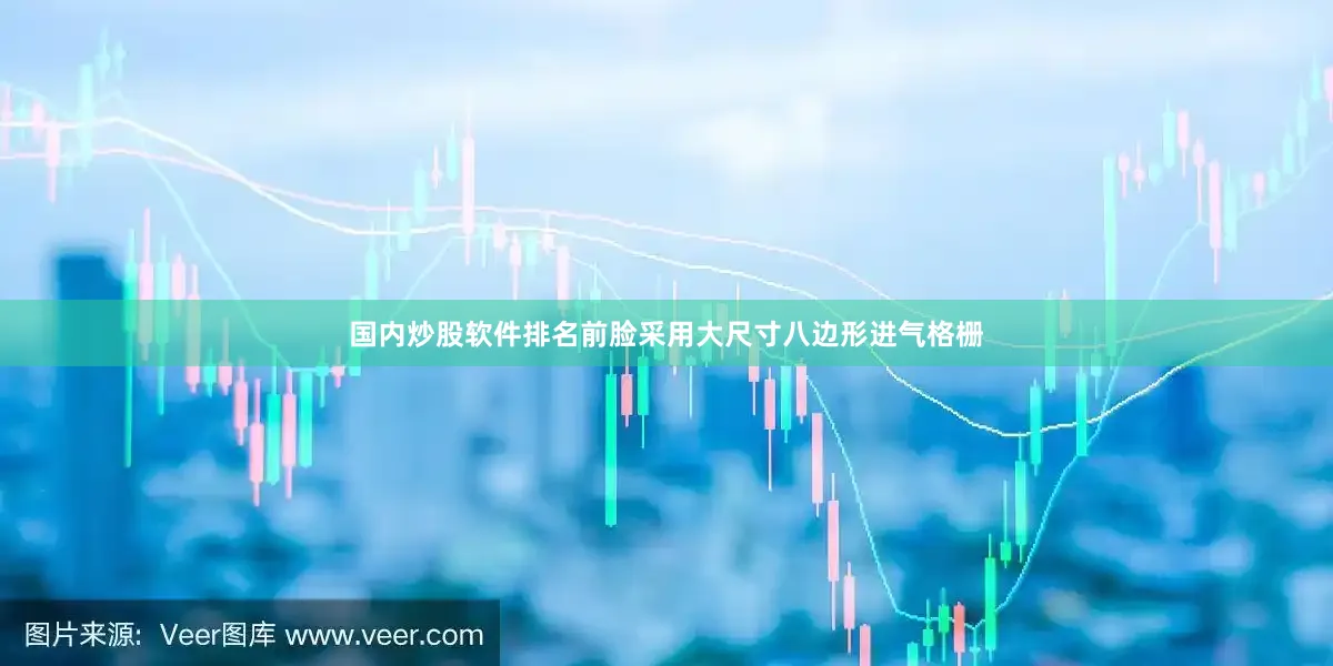 国内炒股软件排名前脸采用大尺寸八边形进气格栅